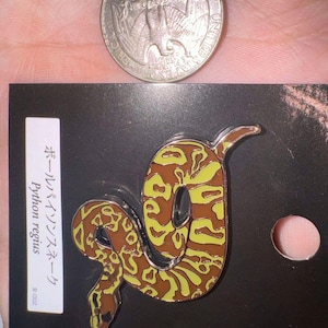 May include: A pin featuring a coiled snake design in brown and yellow, with the text "Python regius" and Japanese characters on a black card. A U.S. quarter is next to the pin for size comparison.