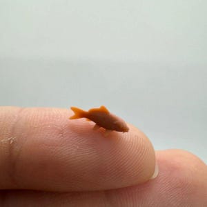 May include: A small, orange-brown fish figurine, approximately 0.75 inches long, is perched on a fingertip. The miniature sculpture has detailed fins and a slender body, showcasing a realistic design. The background is a plain, light color.