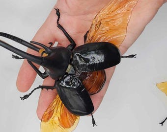Giant Beetle 6 (Gachapon)