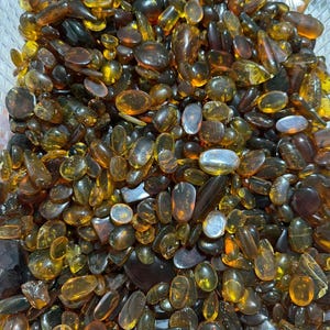 May include: A large collection of amber stones in various shapes and sizes. The stones are a mix of light and dark amber colors.