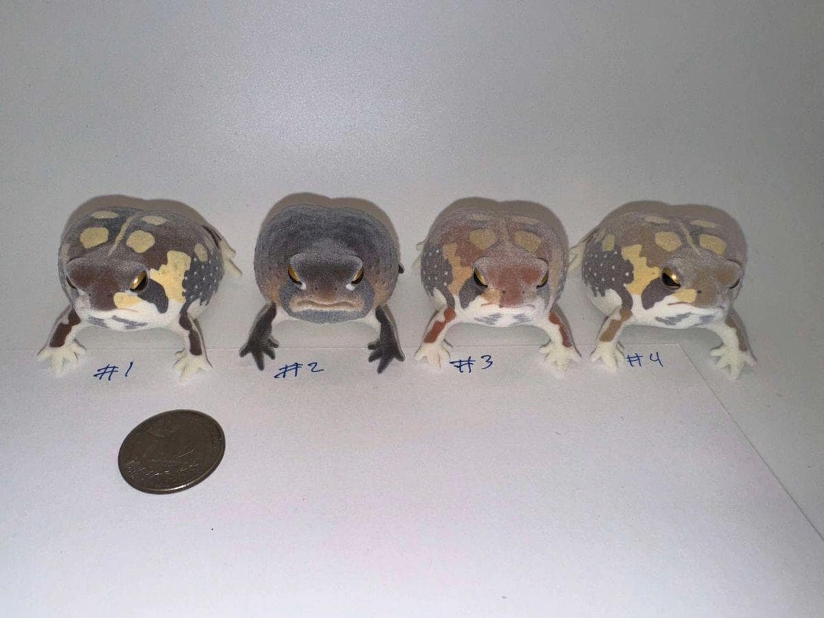 Flocked Desert Rain Frog Gachapon Figures - Etsy