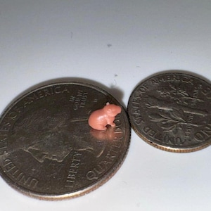 Nano Miniature Capybara (Sitting)