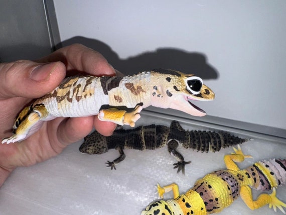 Premium Leopard Gecko Gachapon - Bandai - Etsy