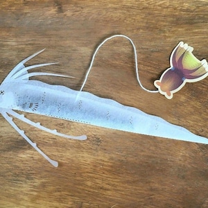 Oarfish Assam Tea Bag - Ocean Teabag