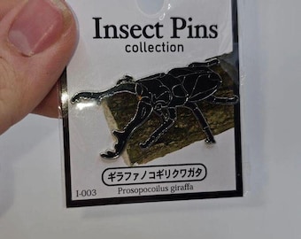 Prosopocoilus Beetle Pin Badge