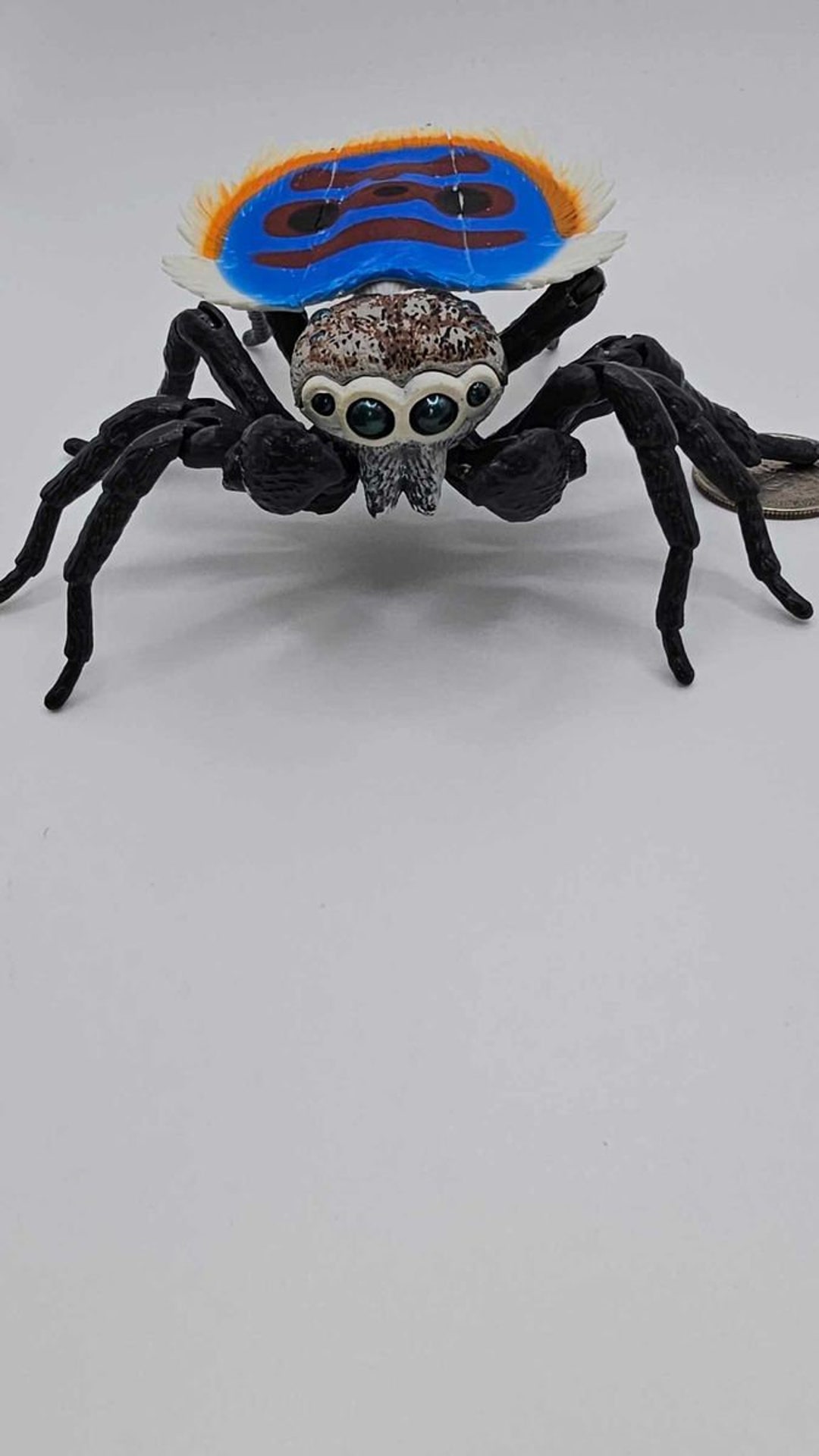 Jumping Spider Gachapon 2 Etsy