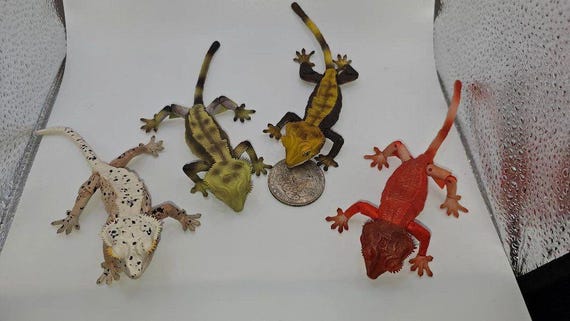 GECKO ゲッコー カホン GECKO ゲッコー カホン