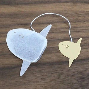 Sunfish Hojicha Tea Bag - Ocean Teabag