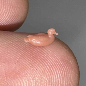 Nano Miniature Duck