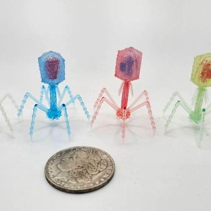 Virus Model Gachapon Figure