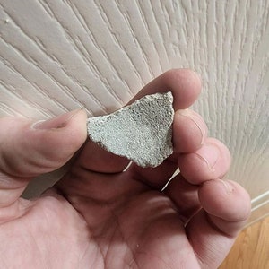 Saltosaurus Dinosaur Eggshell, Argentina (Authentic)