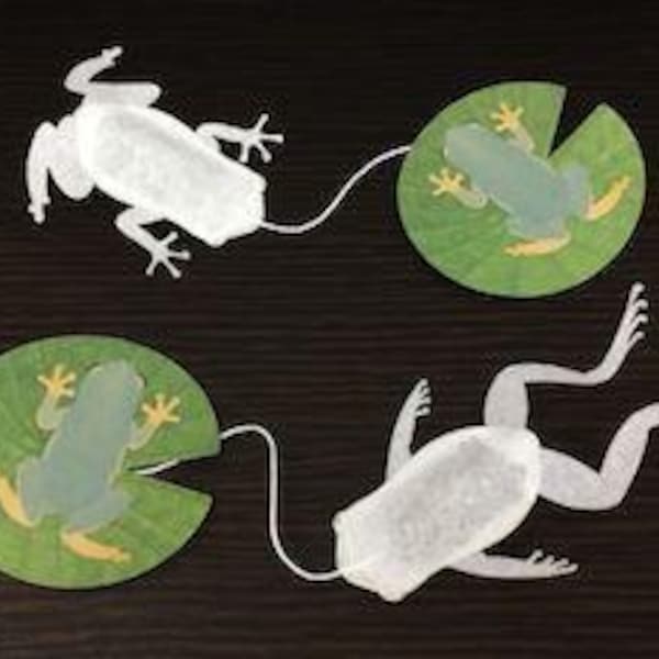 Treefrog Butterfly Pea Mint Tea Bag (Style 1) - Ocean Teabag