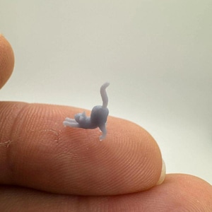 Nano Miniature Cat image 4