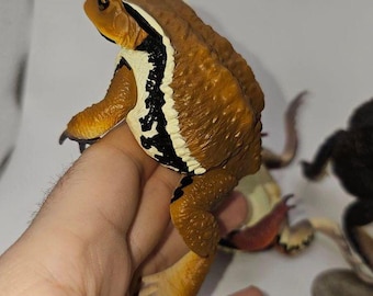 Könnte beinhalten: Eine braune und schwarze Kröte mit weißen Markierungen auf dem Rücken. Die Kröte sitzt auf der Hand einer Person.