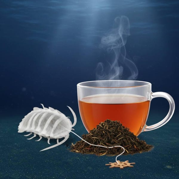 Isopod Oolong Tea ( Oriental Beauty ) - Ocean Teabag