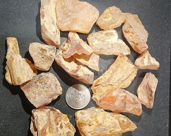 May include: A collection of amber stones of various sizes and shapes, ranging from light to dark orange, displayed on a black surface. A US quarter is included for scale.
