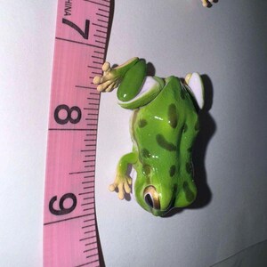 Figura articulada de rana Gachapon: Edición limitada de Bandai Toy imagen 2