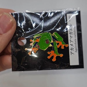 Poison Dart Frog - Hard Enamel Pin · Kayla's Kritterz · Online Store  Powered by Storenvy