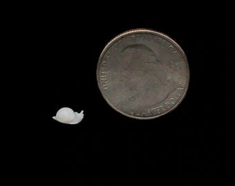 Nano Good Luck Snail