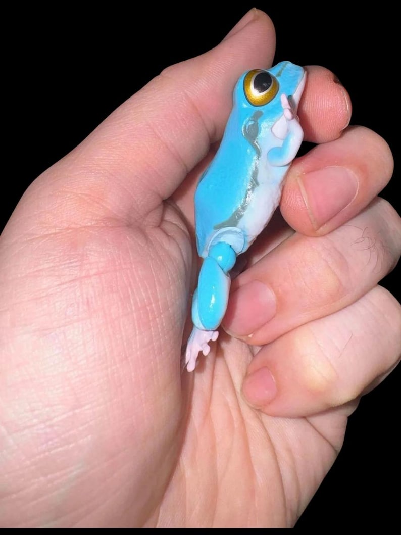 Figura articulada de rana Gachapon: Edición limitada de Bandai Toy imagen 3