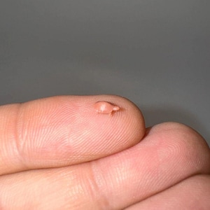 May include: A small, light pink object with a rounded body and a small, pointed protrusion. The object is resting on a person's fingertip, with the skin's texture visible. The background is a solid, neutral gray.