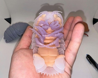 May include: A detailed, close-up view of a translucent, segmented isopod model with lavender appendages and a tan body. A gray isopod model is visible in the background. The model is held in a hand.