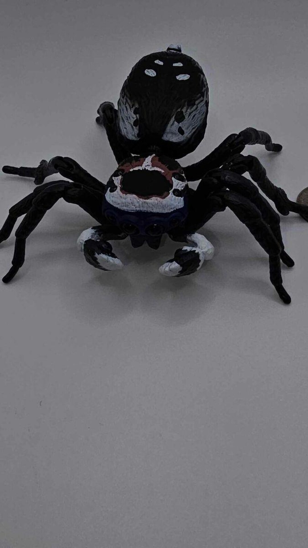スケールモデル 新作 Gachapon Spider Jumping 4 Etsy - プロジェクター
