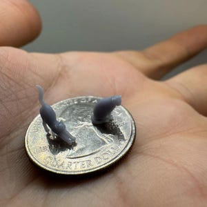 Nano Miniature Cat image 3