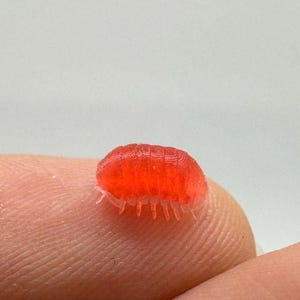 Nano Miniature Isopod