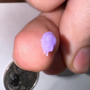 May include: A small, purple, 3D printed object with a rounded top and a pointed bottom.