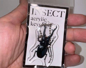 Stag Beetle Acrylic Keychain from Japan