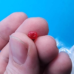 May include: A small, round, red bead.