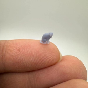 Nano Miniature Cat