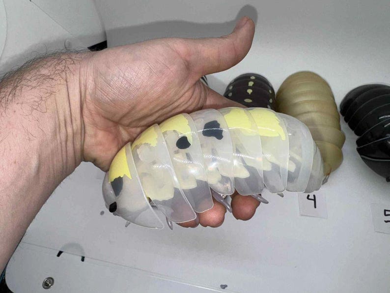 Bandai Dango Mushi Rare Isopod Figures Set 5 image 6