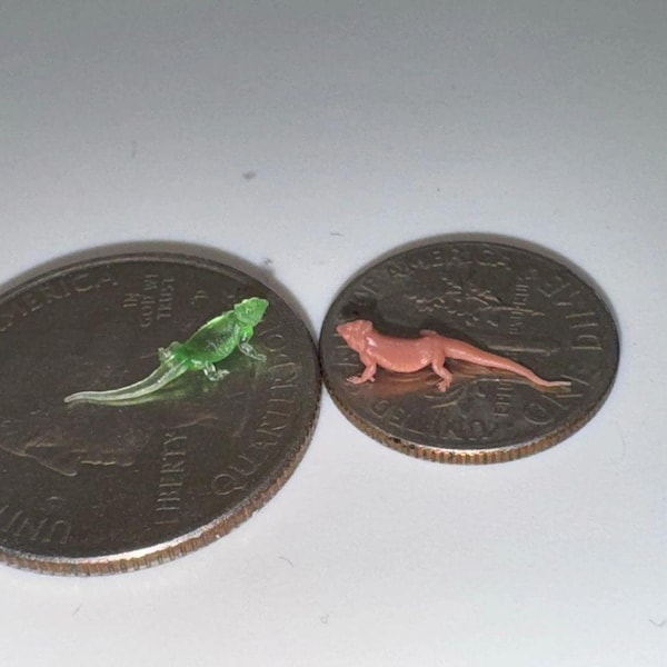 Nano Miniature Bearded Dragon ( Beardie )