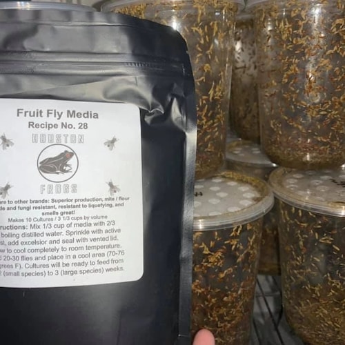 Fruit Fly Media Etsy