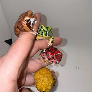 Pacman / Desert Rain Frog Ring Figures