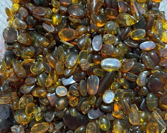 Insects in Amber (Burmese)