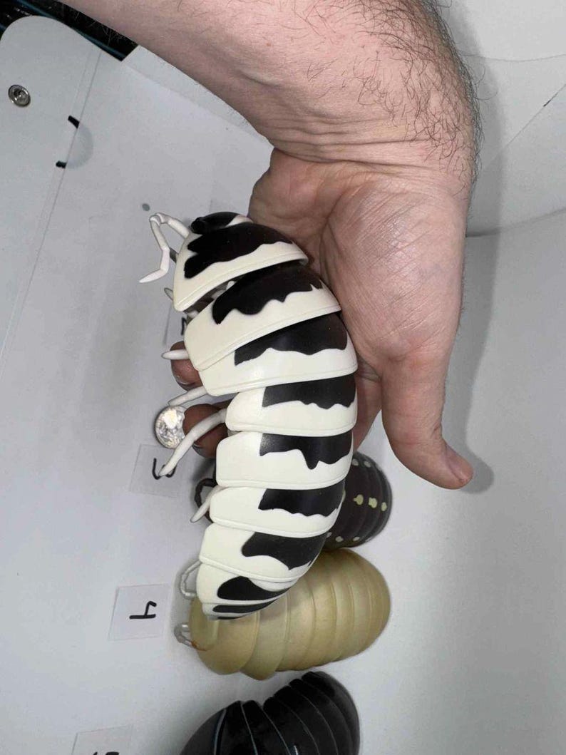 Bandai Dango Mushi Rare Isopod Figures Set 5 image 5