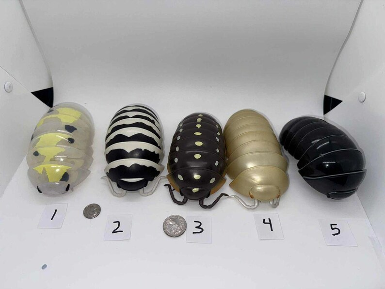 Bandai Dango Mushi Rare Isopod Figures Set 5 - Etsy