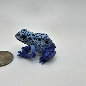 Azureus Frog Model (Gachapon Toy)