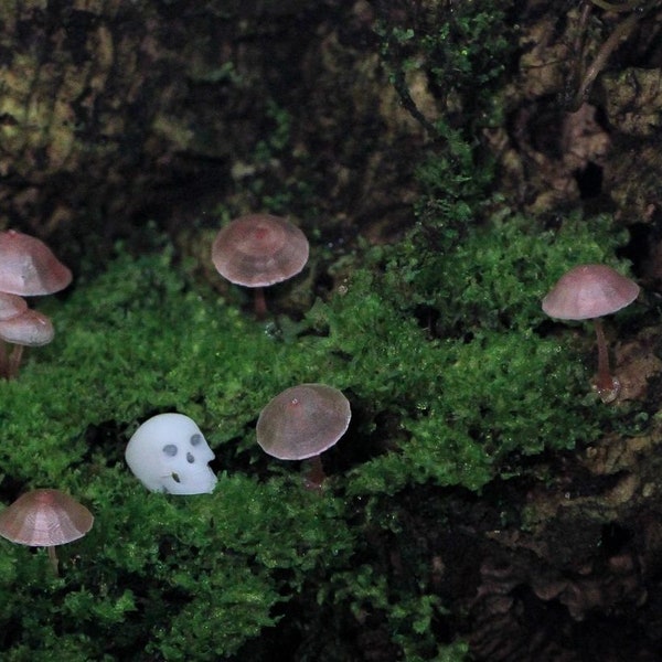 Realistic Mushrooms (Terrarium Decor)