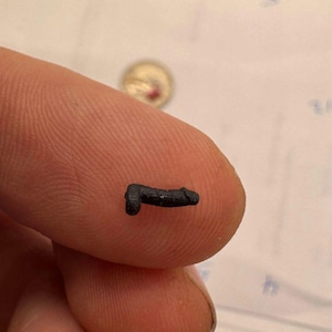 Nano Miniature Dicks (world's Smallest Dick) - Etsy