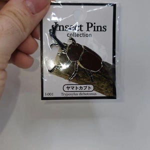 Rhinoceros Beetle Pin Badge