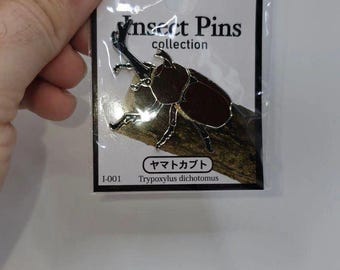 Rhinoceros Beetle Pin Badge