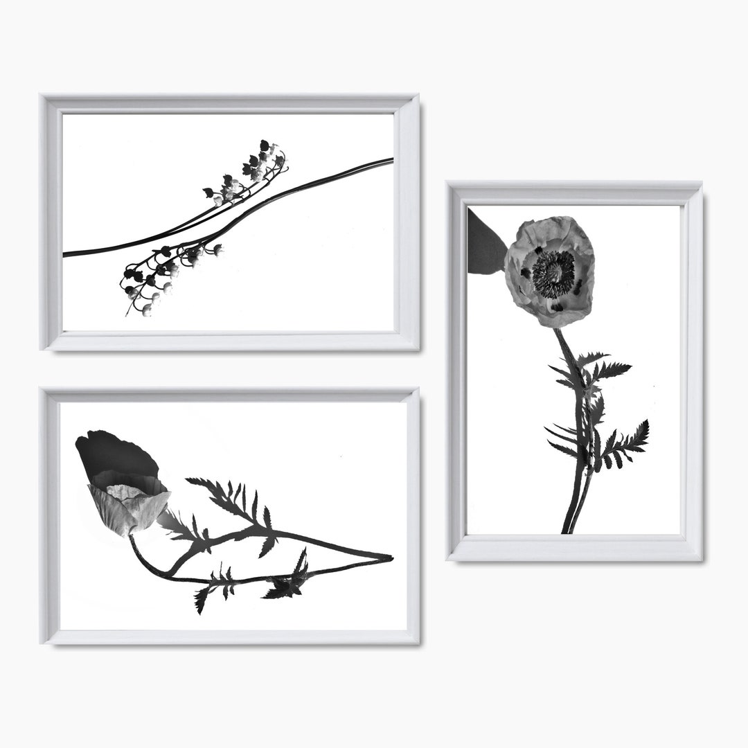 Minimalist Floral Gallery Wall Art Prints Set of 3 Printable Poppy Lily ...