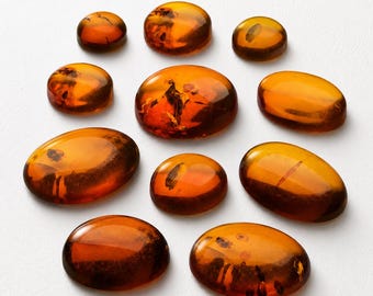 May include: A collection of ten polished amber cabochons in various oval and circular shapes. Each piece features a translucent, warm honey-orange hue with visible internal organic inclusions, natural dark patterns, and a smooth, glossy finish.