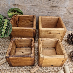 May include: Four square wooden boxes with open tops, arranged in a two-by-two grid. The boxes feature a natural wood grain finish with varying shades of brown, ranging from a light tan to a deeper, darker stained wood tone on the left side.