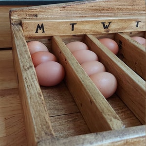 May include: A wooden egg storage box with seven compartments labeled "M", "T", "W", and "T". The box is filled with brown eggs.