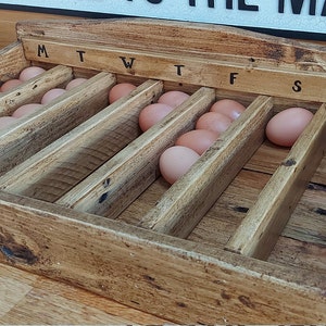 May include: Wooden egg tray with seven rows of slots for storing eggs. Each row is labeled with a day of the week, starting with "M" for Monday and ending with "S" for Sunday.